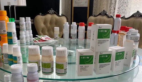 專業(yè)方案,更優(yōu)選擇 河南瀚斯夏季除草劑產(chǎn)品技術(shù)培訓(xùn)會(huì)山東曹縣專場(chǎng)圓滿召開